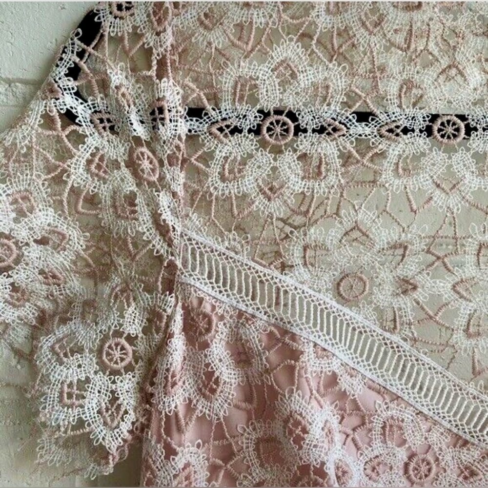 SAYLOR Lillie Lace Illusion Dress 
Illusion Neckline/Open Back 
MED 
BLUSH/IVORY - Picture 9 of 16